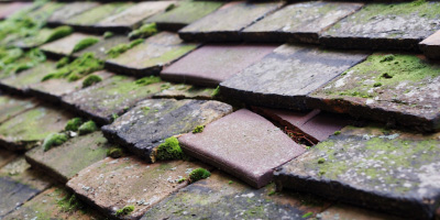 Tillingham roof repair costs